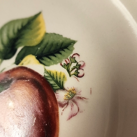 ☆Vintage, Set of 2. Casuals by China Pearl. Apple Pattern with Green Rim. 10.25☆ - Picture 5 of 7